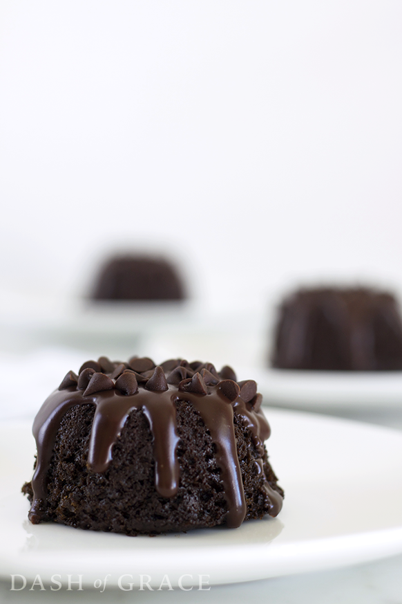 Triple Chocolate Mini Bundt Cakes Recipe - Dash of Grace