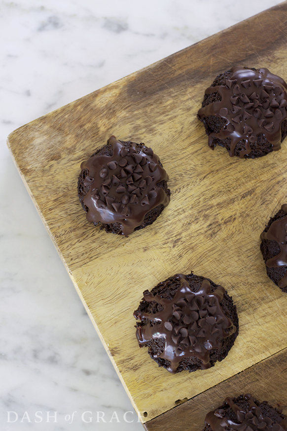 Triple Chocolate Mini Bundt Cakes Recipe - Dash of Grace