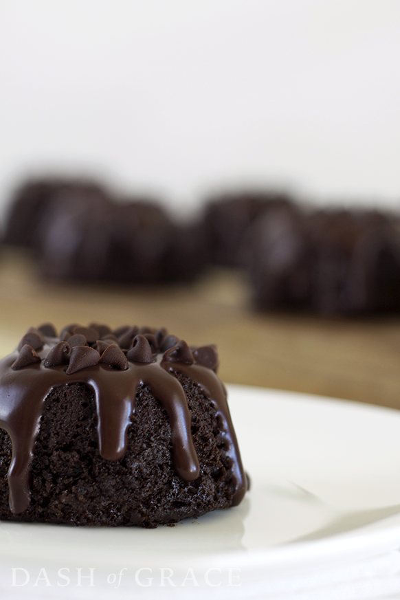 Triple Chocolate Mini Bundt Cakes Recipe