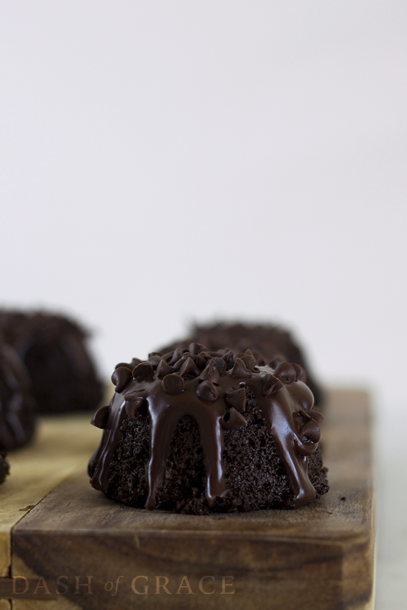 Triple Chocolate Mini Bundt Cakes Recipe