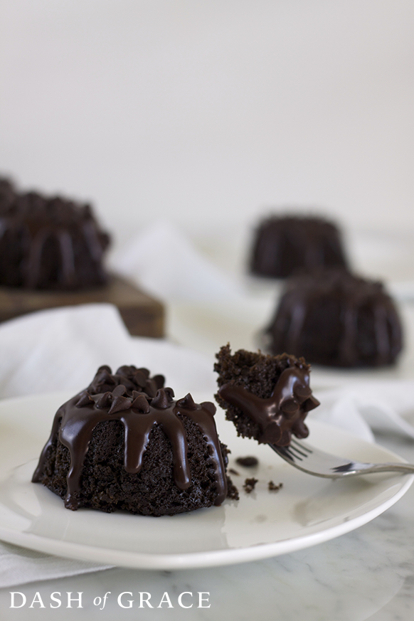 Triple Chocolate Mini Bundt Cakes Recipe - Dash of Grace