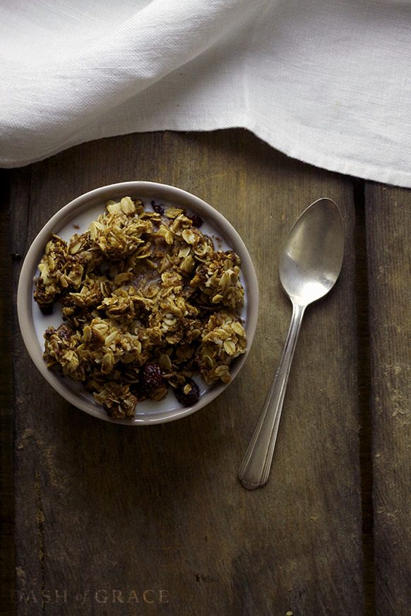 The Best Granola Recipe (Nut, dairy, & egg free)