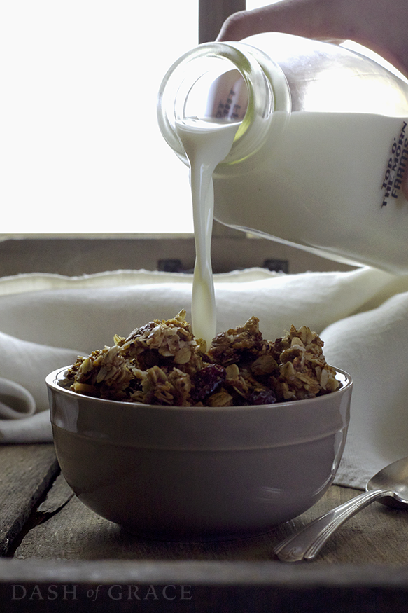 The Best Granola Recipe (Nut, dairy, & egg free)