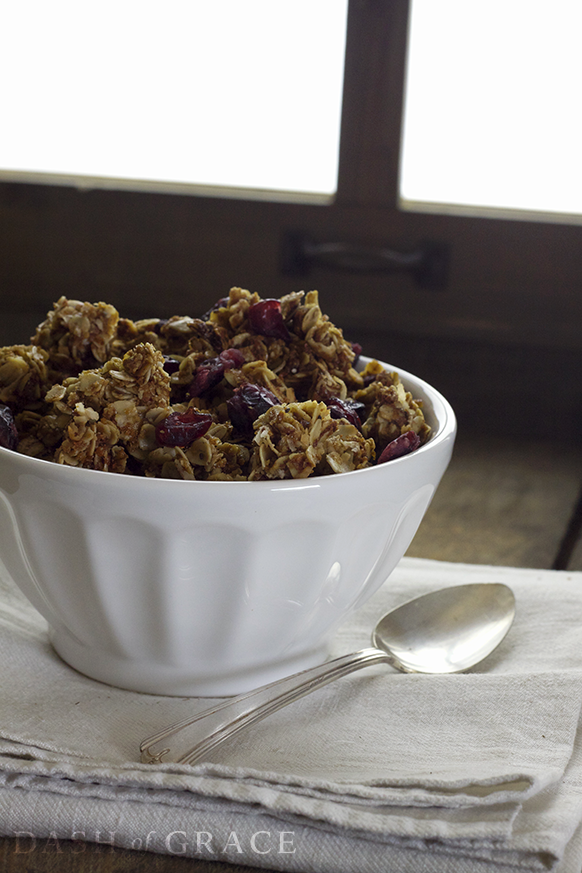 The Best Granola Recipe (Nut, dairy, & egg free)