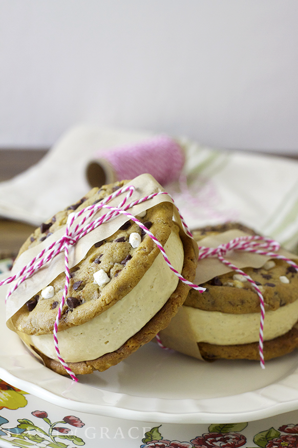 S’mores Ice Cream Cookie Sandwiches Recipe