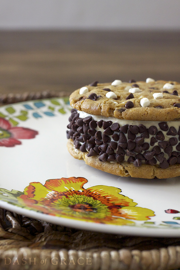 S’mores Ice Cream Cookie Sandwiches Recipe