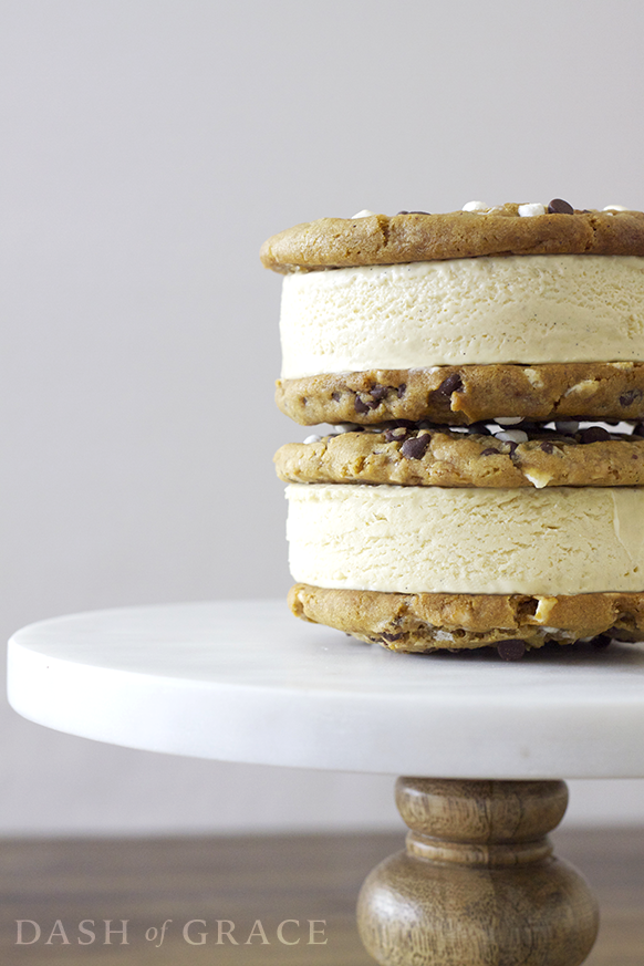 S’mores Ice Cream Cookie Sandwiches Recipe