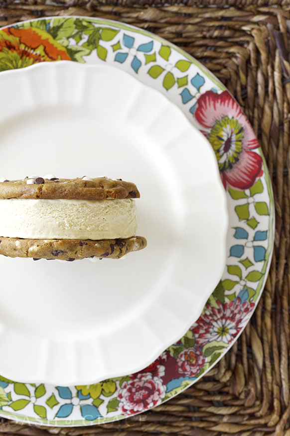 S’mores Ice Cream Cookie Sandwiches Recipe