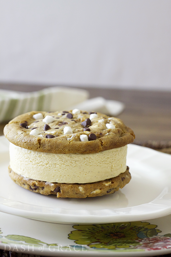 S’mores Ice Cream Cookie Sandwiches Recipe