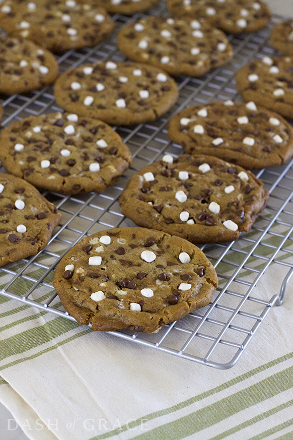 S’mores Ice Cream Cookie Sandwiches Recipe