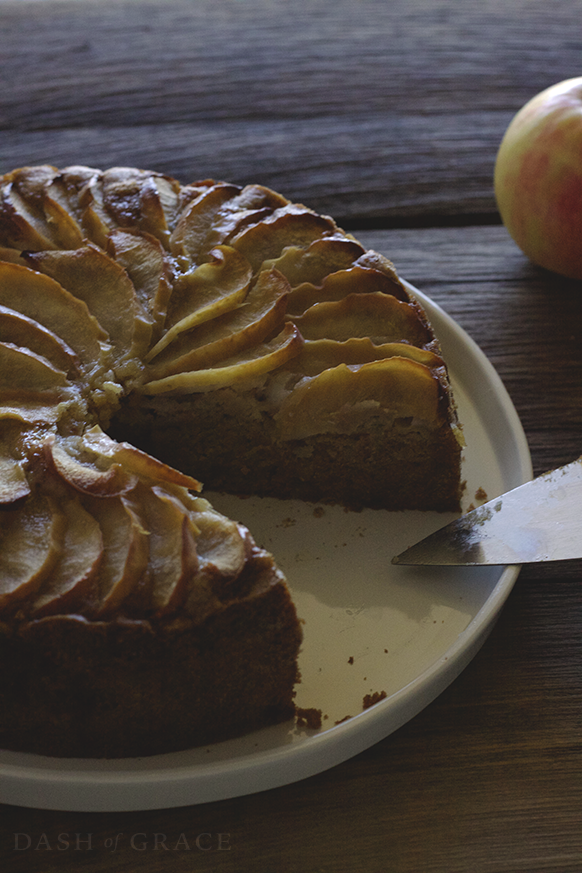 Grandma’s Raw Apple Cake Recipe