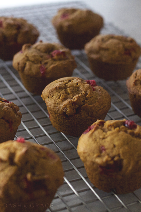 Pumpkin Cranberry Muffins Recipe