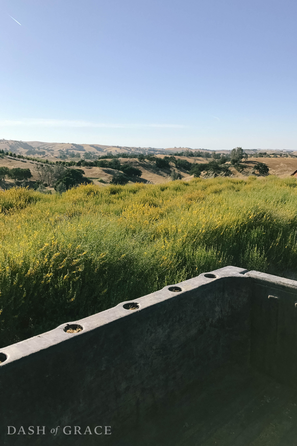 Horse Tail Ranch in Creston, California