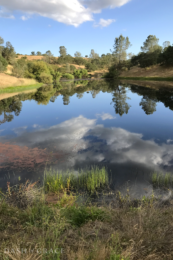 Horse Tail Ranch in Creston, California